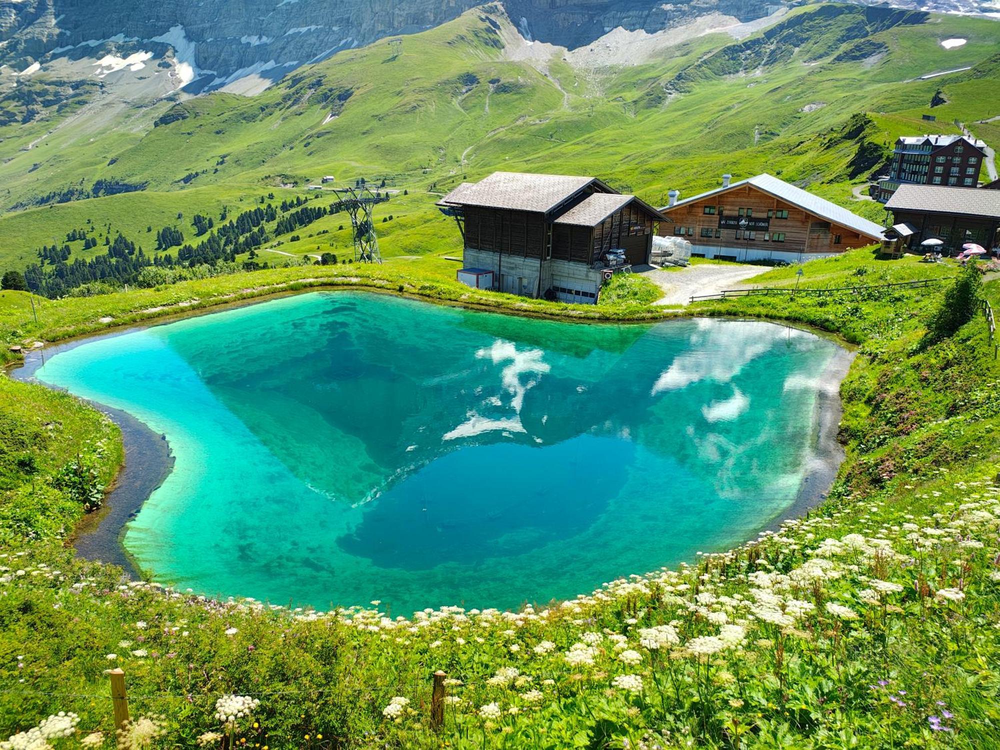 Chalet Schwendiboden Grindelwald Dış mekan fotoğraf