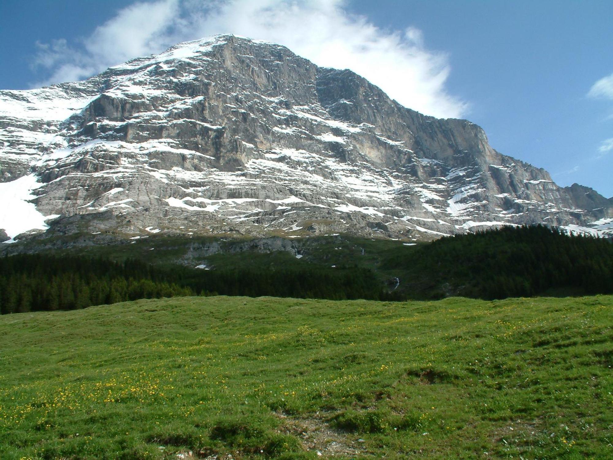 Chalet Schwendiboden Grindelwald Dış mekan fotoğraf