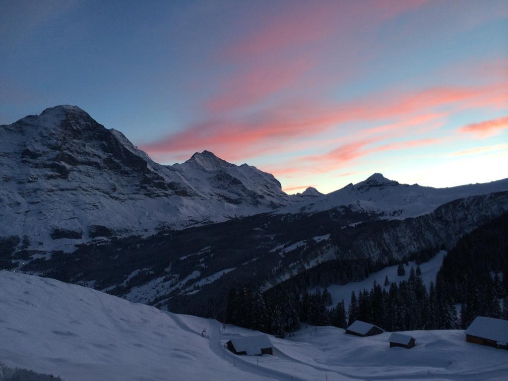 Chalet Schwendiboden Grindelwald Dış mekan fotoğraf