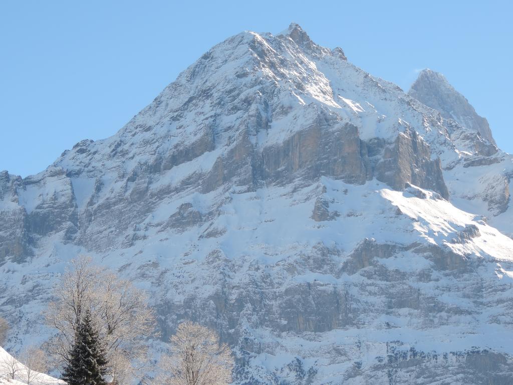 Chalet Schwendiboden Grindelwald Dış mekan fotoğraf